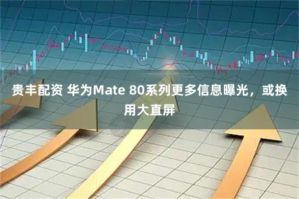 贵丰配资 华为Mate 80系列更多信息曝光，或换用大直屏