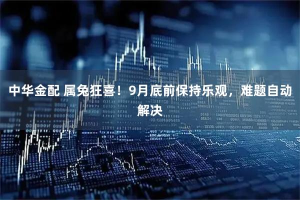中华金配 属兔狂喜！9月底前保持乐观，难题自动解决