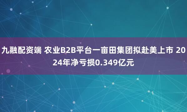 九融配资端 农业B2B平台一亩田集团拟赴美上市 2024年净亏损0.349亿元