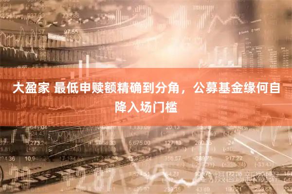 大盈家 最低申赎额精确到分角，公募基金缘何自降入场门槛