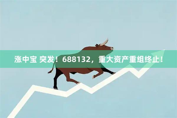 涨中宝 突发!688132,重大资产重组终止!