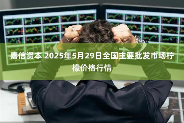 嘉信资本 2025年5月29日全国主要批发市场柠檬价格行情
