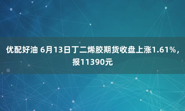 优配好油 6月13日丁二烯胶期货收盘上涨1.61%，报11390元