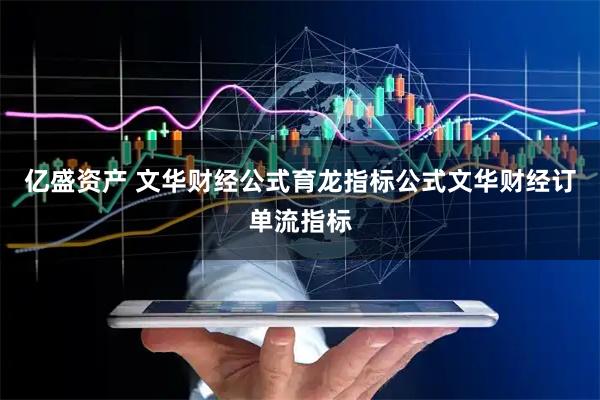 亿盛资产 文华财经公式育龙指标公式文华财经订单流指标