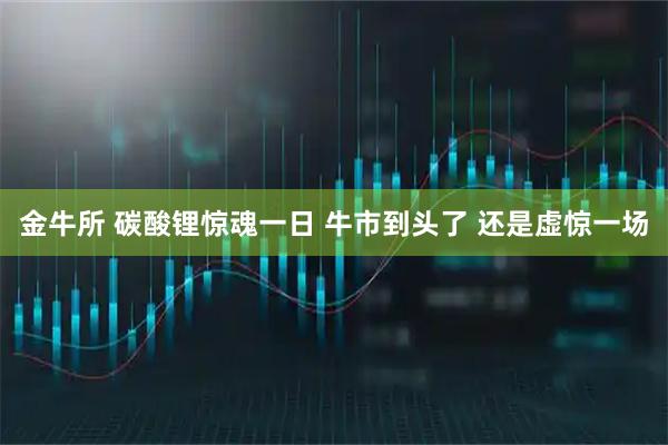 金牛所 碳酸锂惊魂一日 牛市到头了 还是虚惊一场