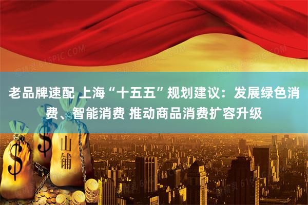 老品牌速配 上海“十五五”规划建议：发展绿色消费、智能消费 推动商品消费扩容升级